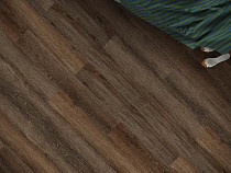 Кварцвиниловые полы Ecoclick Rich замковый 4.2мм NOX-1977 Дуб Визна фото 1 | FLOORDEALER